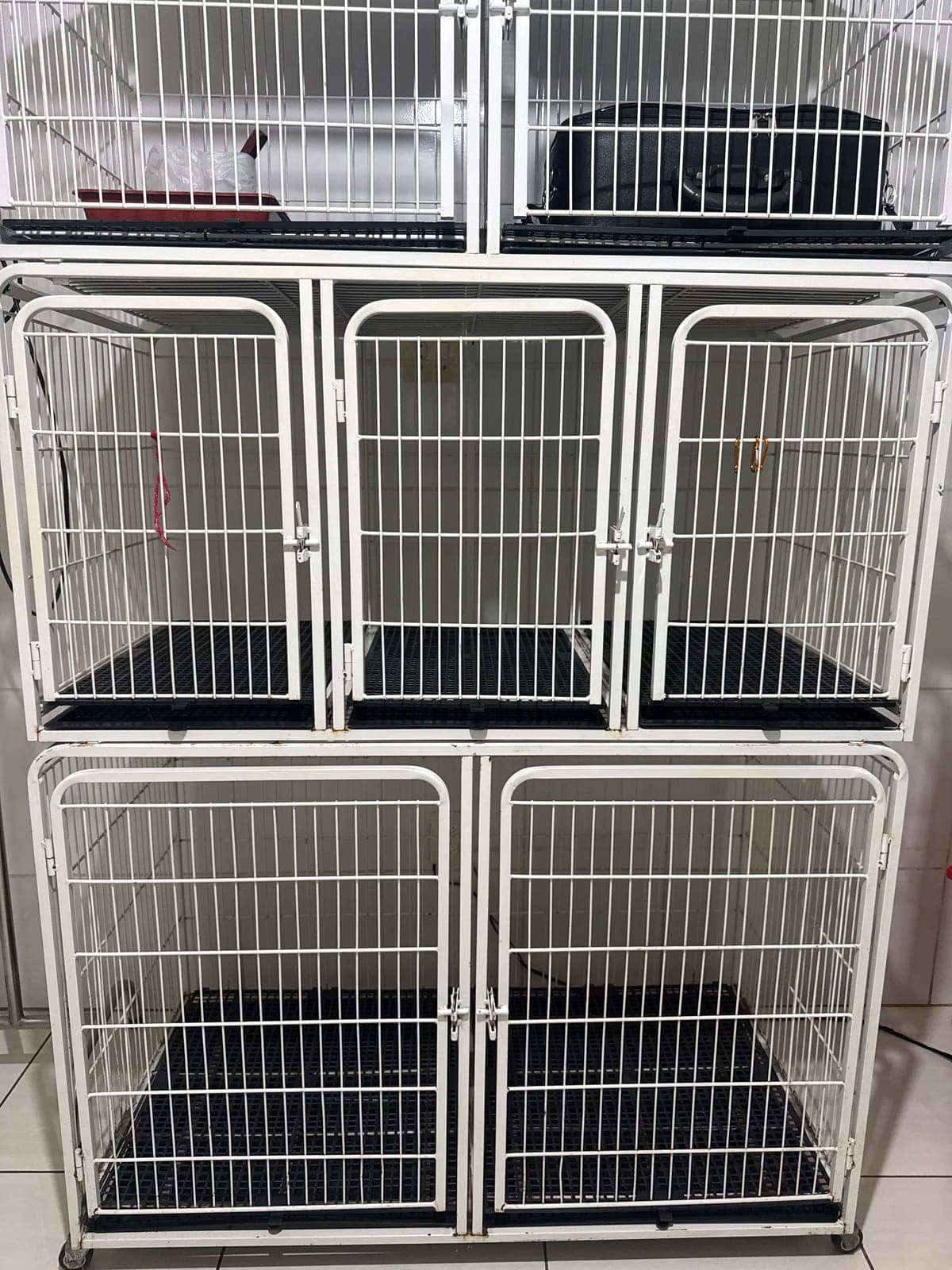 Gaiolas de internação limpas e organizadas da Animal Care