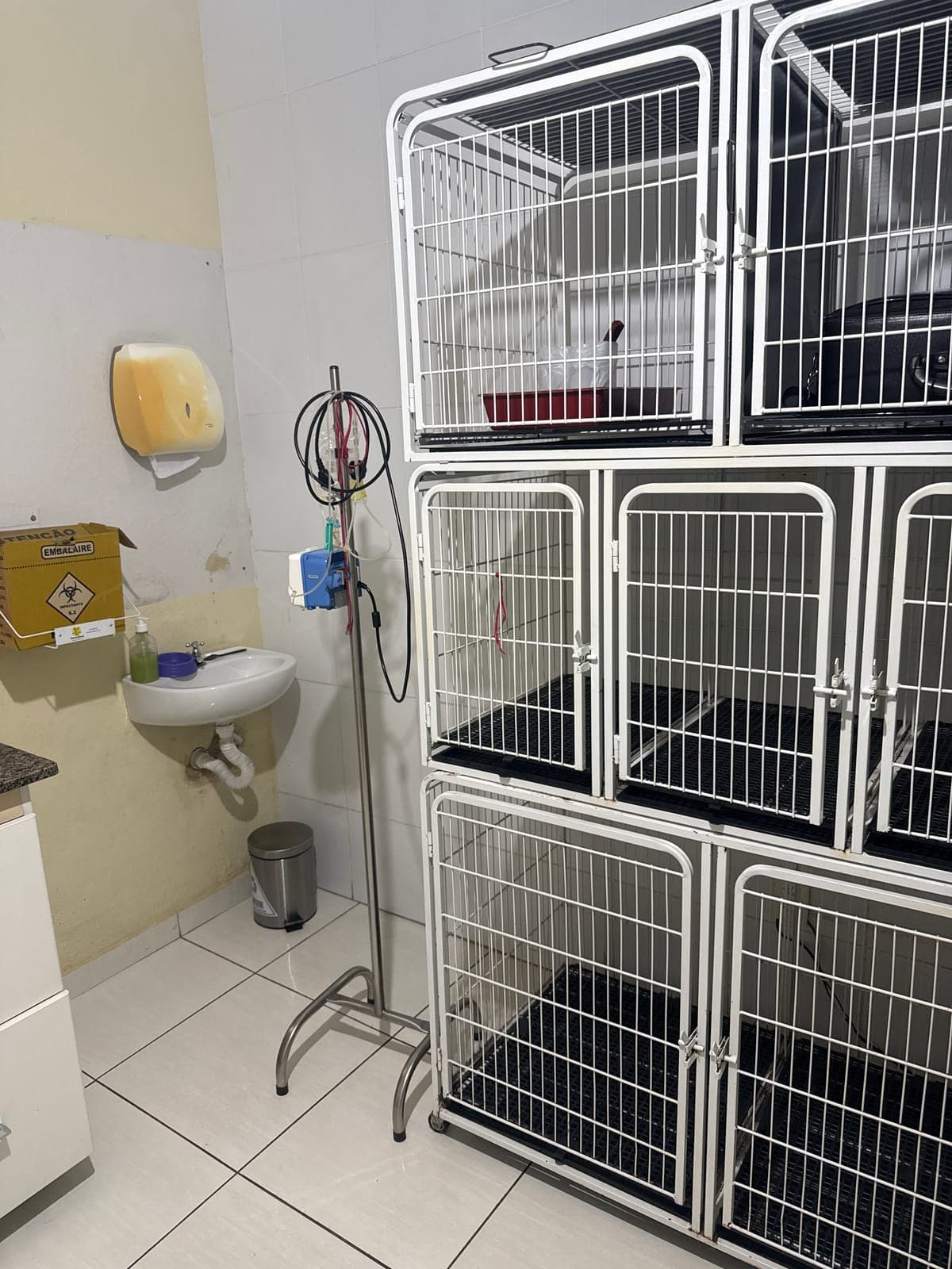 Área de internação da Animal Care com gaiolas organizadas