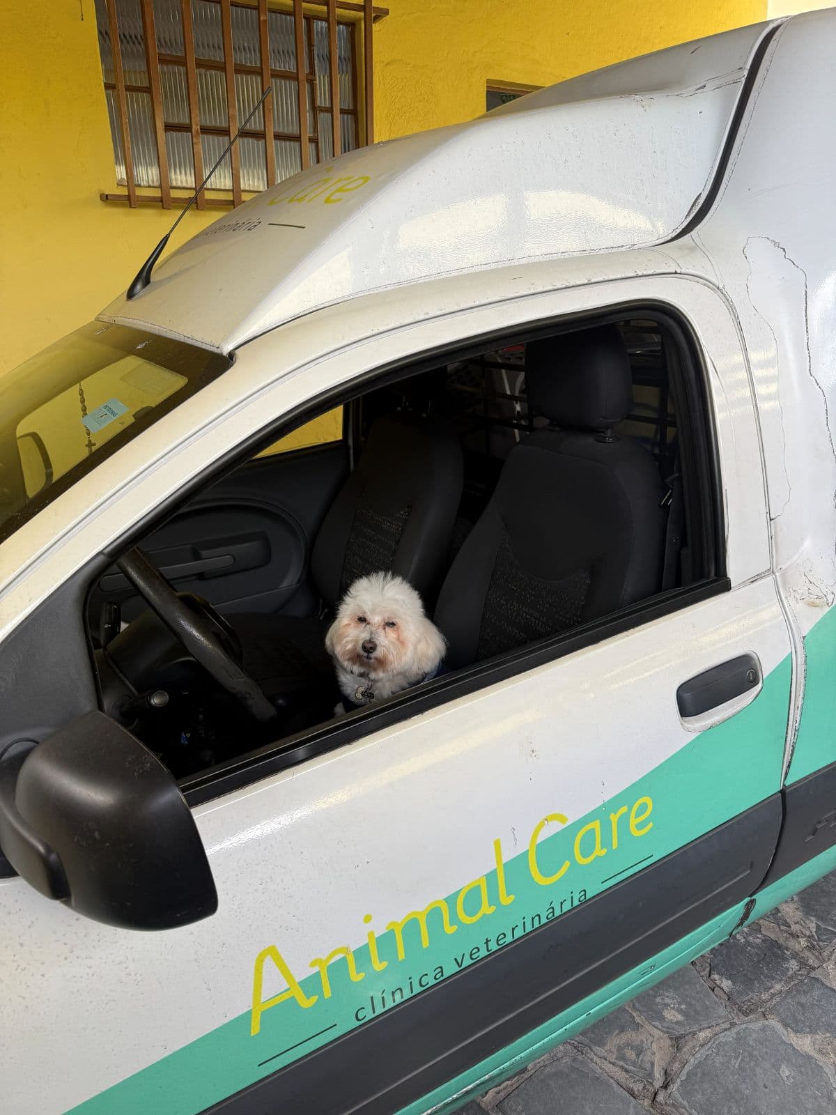 Carro da Animal Care para leva e traz de pets